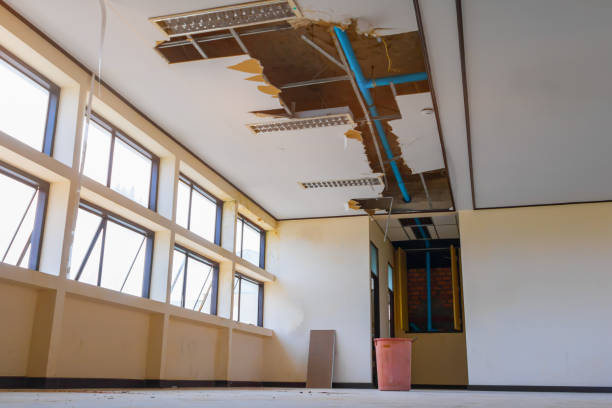 Best Water damage restoration insurance claims  in Dilkon, AZ