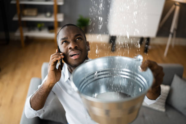 Best 24/7 water damage repair  in Dilkon, AZ