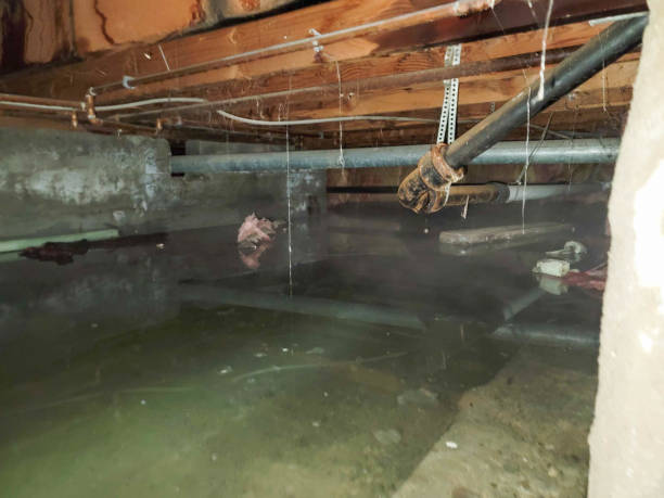 Best Water damage mitigation services  in Dilkon, AZ