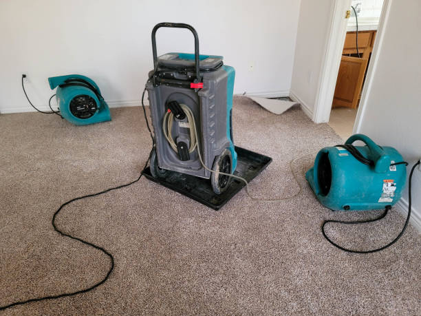 Best Flooded house restoration  in Dilkon, AZ