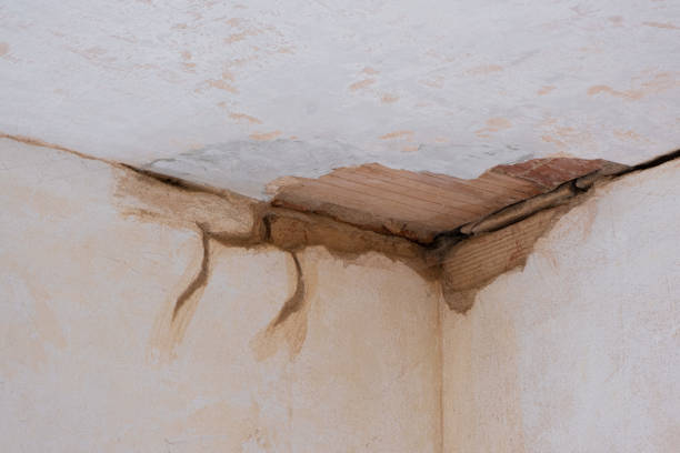 Best Carpet water damage restoration  in Dilkon, AZ