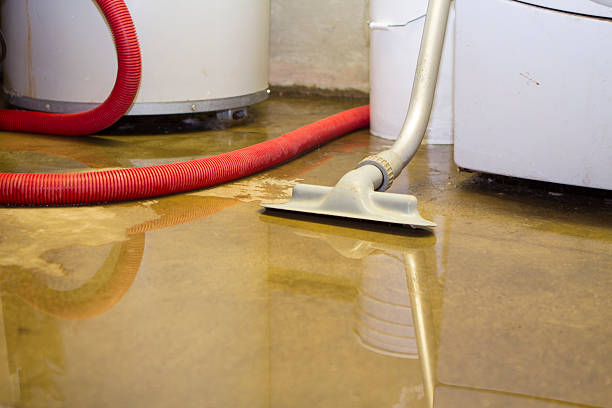 Dilkon, AZ Water damage restoration Company