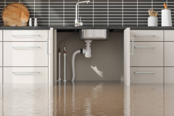 Best Emergency water damage restoration  in Dilkon, AZ