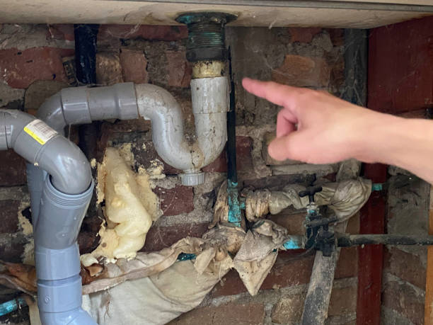 Best Water damage restoration services  in Dilkon, AZ