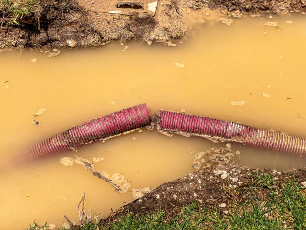 Best Water damage restoration specialists  in Dilkon, AZ