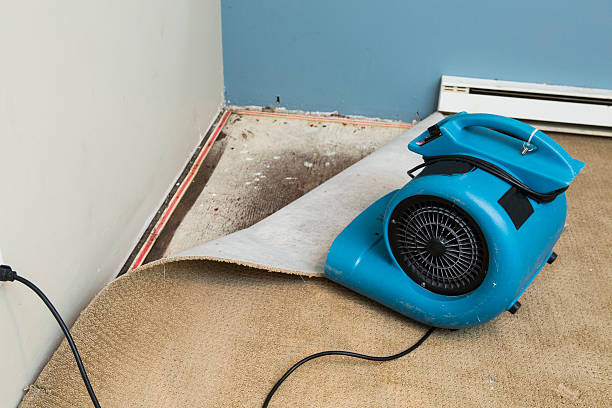 Best Commercial water damage restoration  in Dilkon, AZ